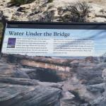 OTRA_2016_0079 (October 07, 2016)